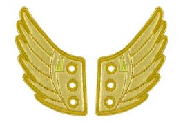 Аксессуары для кед крылья LACE Shwings Windsor 10101 золотые