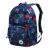 Рюкзак Converse All Star GO BACKPACK 10004801410 разноцветный