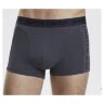 Трусы мужские Pierre Cardin boxer fashion PC00008_Grey серые