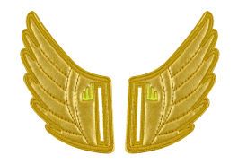 Аксессуары для кед крылья SLOT Shwings WINDSOR 20101 золотые